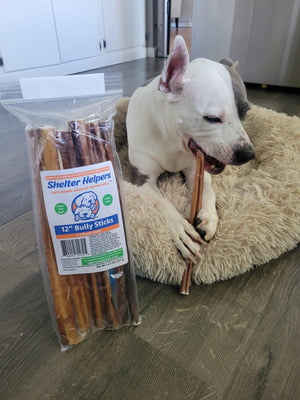 
            
                Load image into Gallery viewer, Thick 12 Inch Bully Sticks - 14 STICKS - Shelter Helpers
            
        