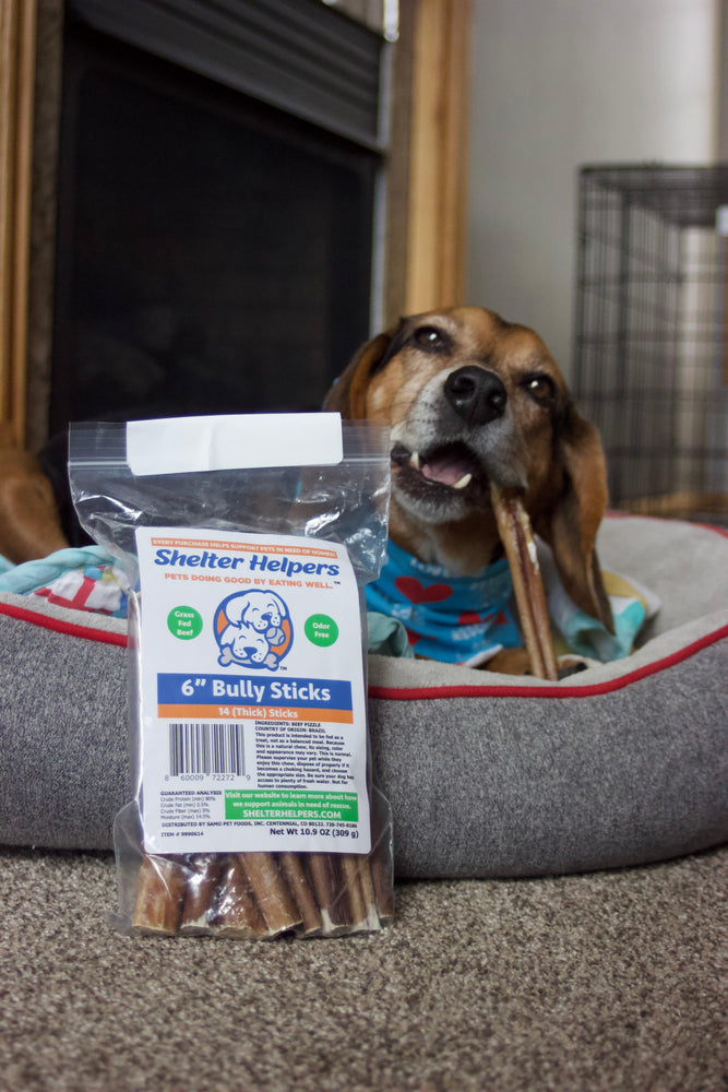 Thick 6 Inch Bully Sticks - 28 STICKS - Shelter Helpers